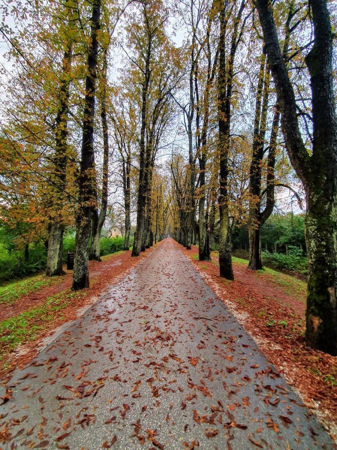Villa Vrelo Bosne Saraievo Exterior foto