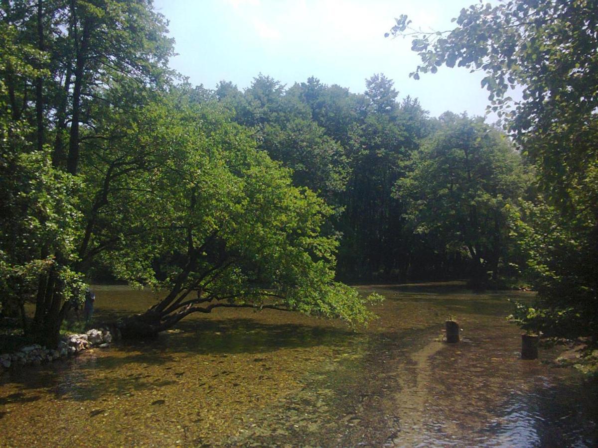 Villa Vrelo Bosne Saraievo Exterior foto