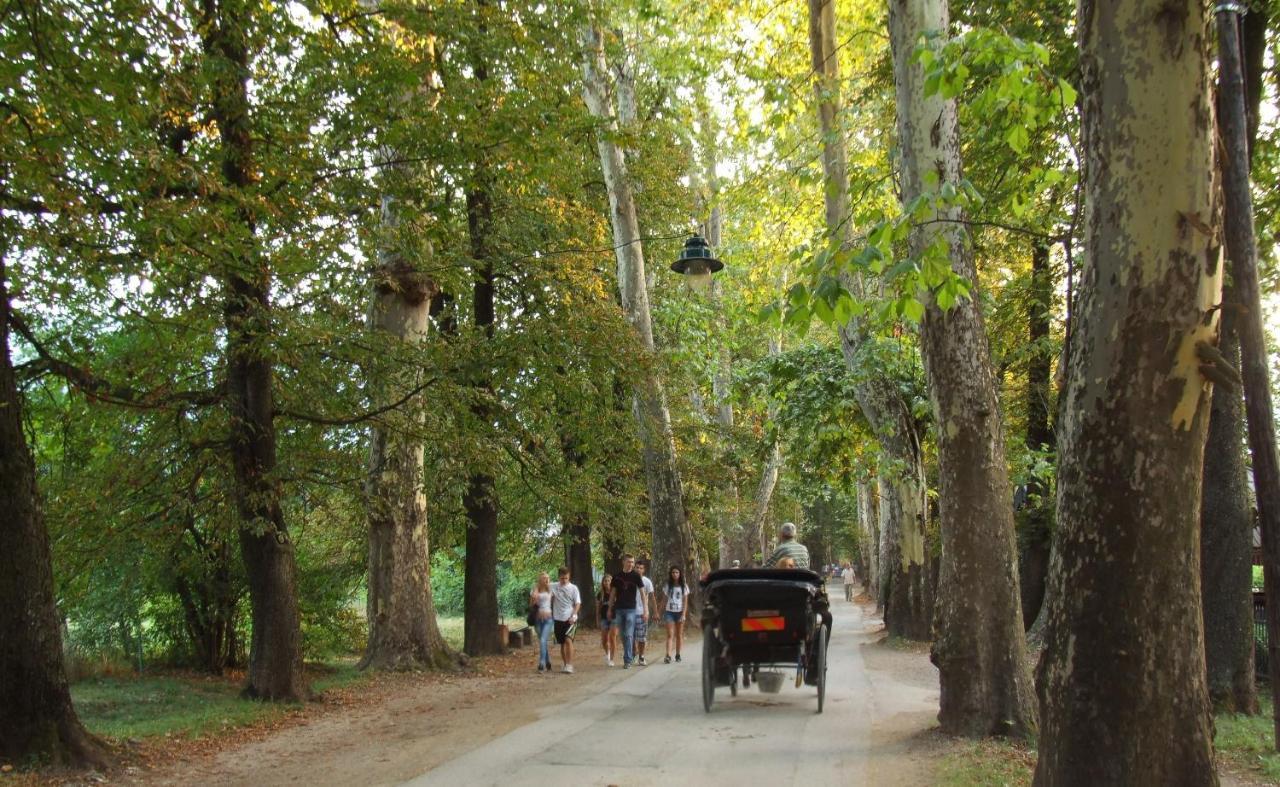 Villa Vrelo Bosne Saraievo Exterior foto