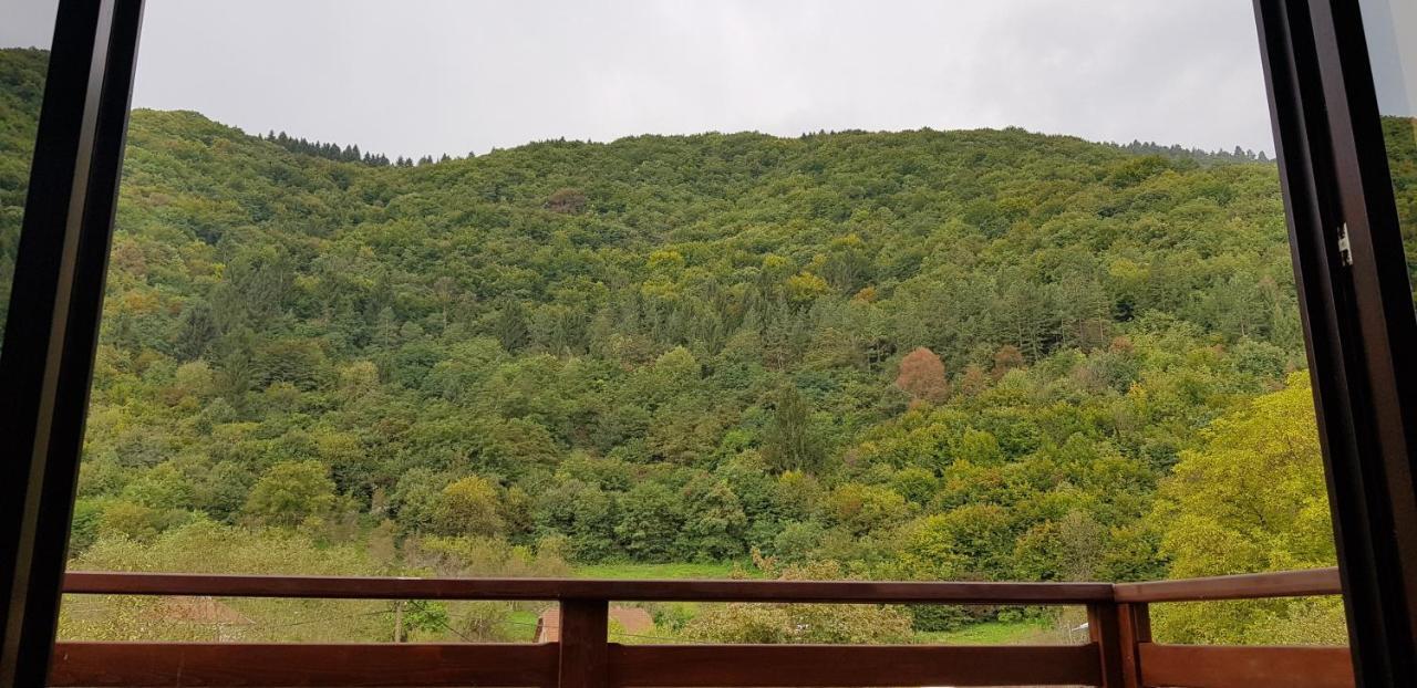 Villa Vrelo Bosne Saraievo Exterior foto